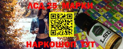 ПСИЛОЦИБИНОВЫЕ ГРИБЫ Кандалакша